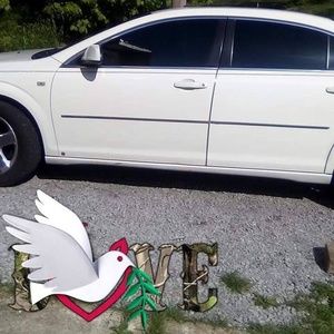 Meet your Posher, Shawn